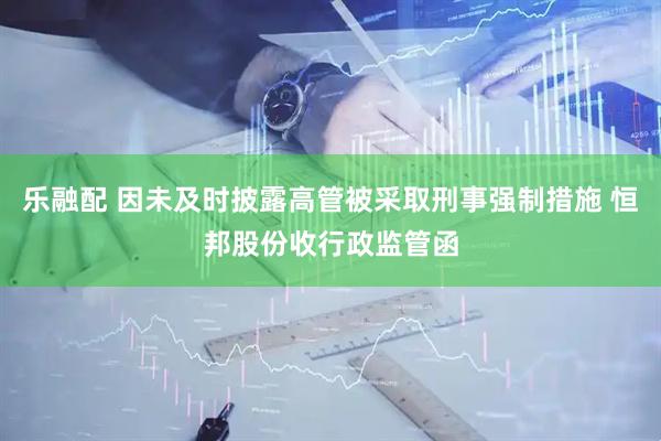乐融配 因未及时披露高管被采取刑事强制措施 恒邦股份收行政监管函