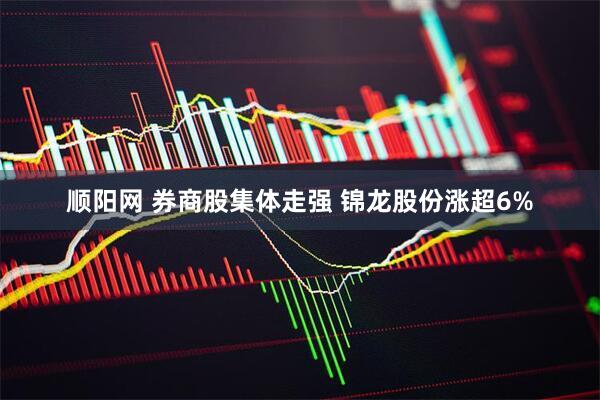 顺阳网 券商股集体走强 锦龙股份涨超6%